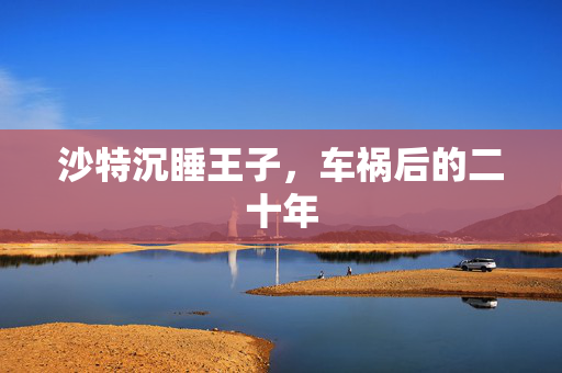 沙特沉睡王子，车祸后的二十年