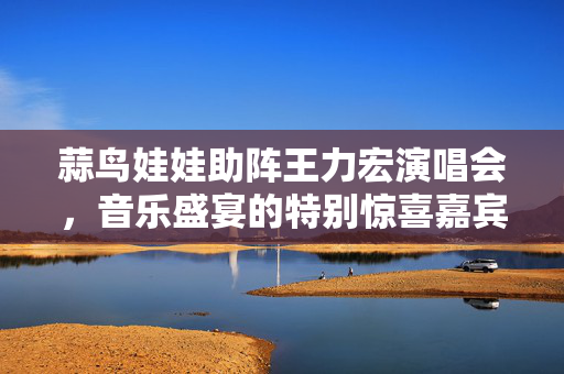 蒜鸟娃娃助阵王力宏演唱会，音乐盛宴的特别惊喜嘉宾