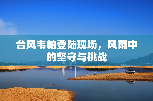 台风韦帕登陆现场，风雨中的坚守与挑战