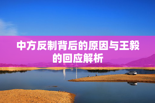 中方反制背后的原因与王毅的回应解析