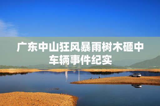 广东中山狂风暴雨树木砸中车辆事件纪实