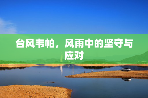 台风韦帕，风雨中的坚守与应对