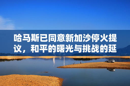 哈马斯已同意新加沙停火提议，和平的曙光与挑战的延续