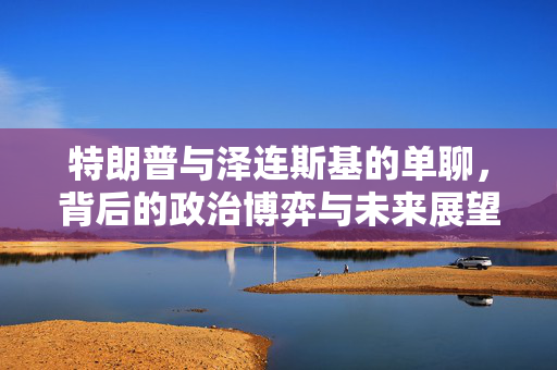 特朗普与泽连斯基的单聊，背后的政治博弈与未来展望