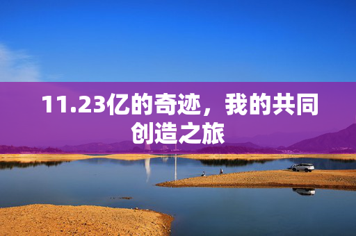 11.23亿的奇迹，我的共同创造之旅
