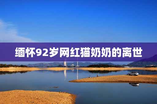 缅怀92岁网红猫奶奶的离世