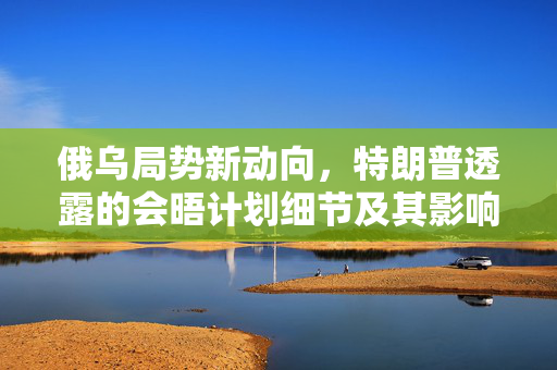 俄乌局势新动向，特朗普透露的会晤计划细节及其影响分析