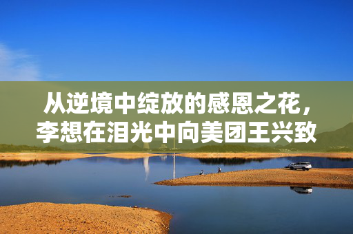 从逆境中绽放的感恩之花，李想在泪光中向美团王兴致谢的深情瞬间