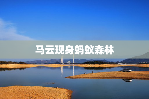 马云现身蚂蚁森林