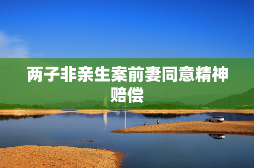 两子非亲生案前妻同意精神赔偿