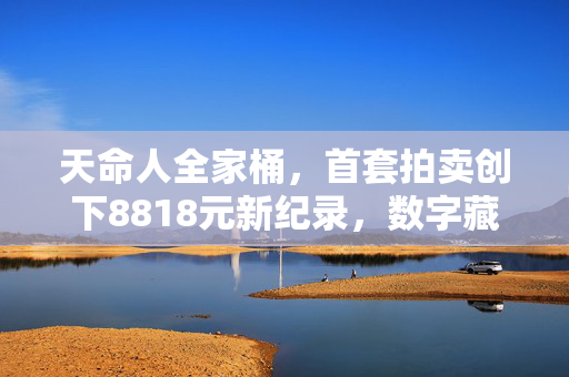 天命人全家桶，首套拍卖创下8818元新纪录，数字藏品市场的文化与价值探索