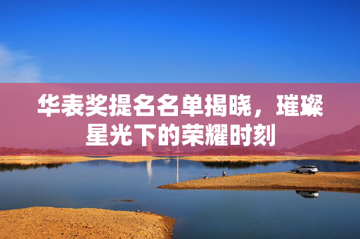 华表奖提名名单揭晓，璀璨星光下的荣耀时刻