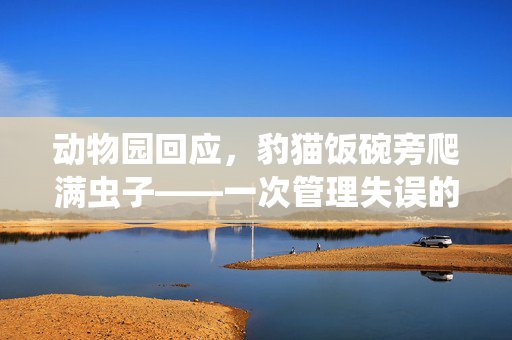 动物园回应，豹猫饭碗旁爬满虫子——一次管理失误的深刻反思