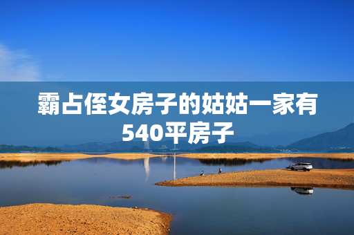 霸占侄女房子的姑姑一家有540平房子