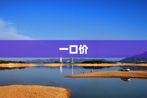一口价