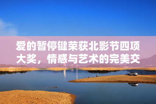 爱的暂停键荣获北影节四项大奖，情感与艺术的完美交融