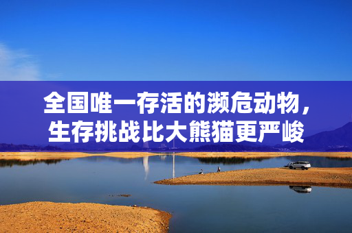 全国唯一存活的濒危动物，生存挑战比大熊猫更严峻