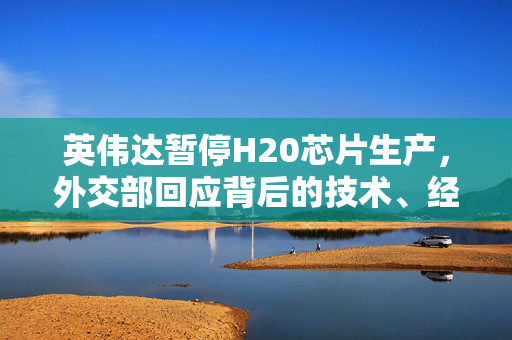 英伟达暂停H20芯片生产，外交部回应背后的技术、经济与外交考量