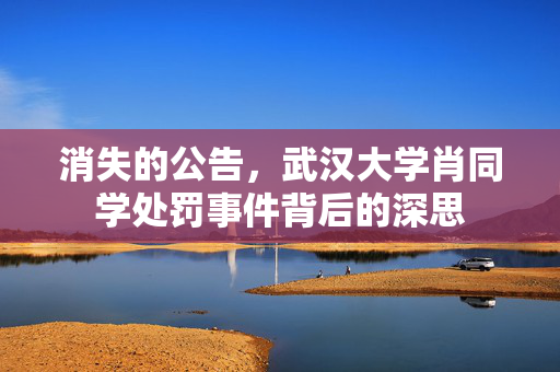 消失的公告，武汉大学肖同学处罚事件背后的深思