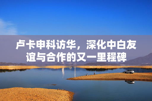 卢卡申科访华，深化中白友谊与合作的又一里程碑