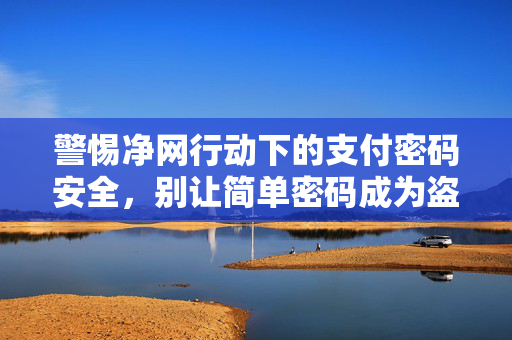 警惕净网行动下的支付密码安全，别让简单密码成为盗刷的钥匙
