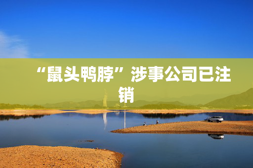 “鼠头鸭脖”涉事公司已注销