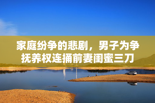 家庭纷争的悲剧，男子为争抚养权连捅前妻闺蜜三刀