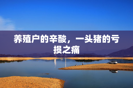 养殖户的辛酸，一头猪的亏损之痛