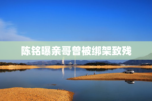 陈铭曝亲哥曾被绑架致残