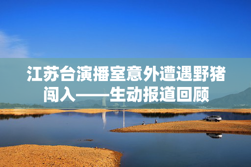 江苏台演播室意外遭遇野猪闯入——生动报道回顾