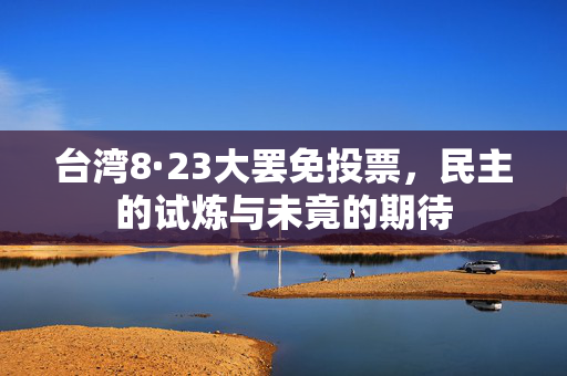 台湾8·23大罢免投票，民主的试炼与未竟的期待