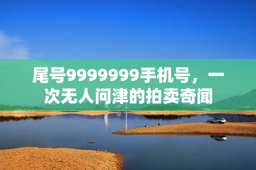 尾号9999999手机号，一次无人问津的拍卖奇闻