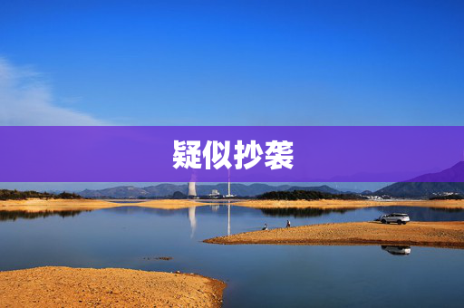 疑似抄袭