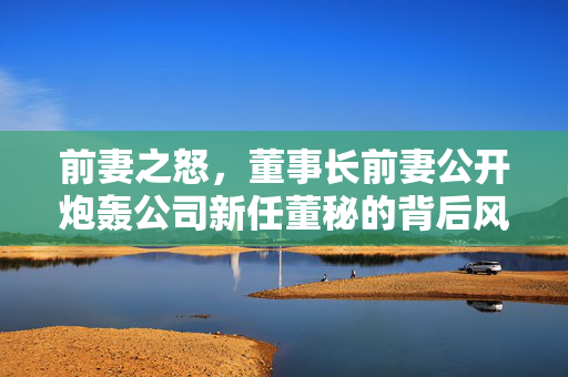 前妻之怒，董事长前妻公开炮轰公司新任董秘的背后风云