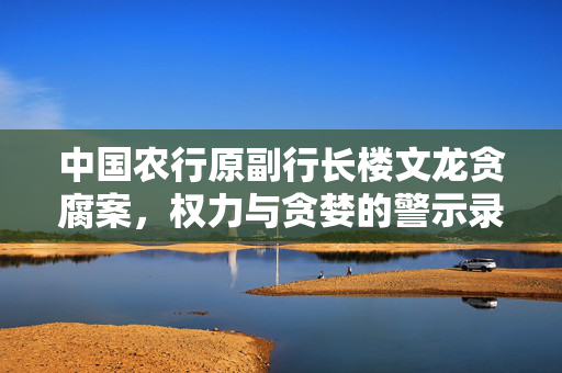 中国农行原副行长楼文龙贪腐案，权力与贪婪的警示录