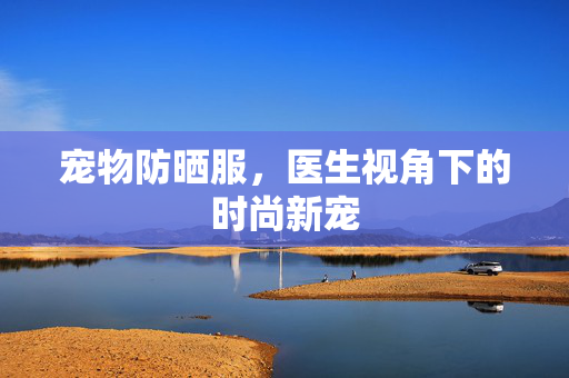 宠物防晒服，医生视角下的时尚新宠