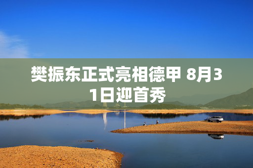 樊振东正式亮相德甲 8月31日迎首秀
