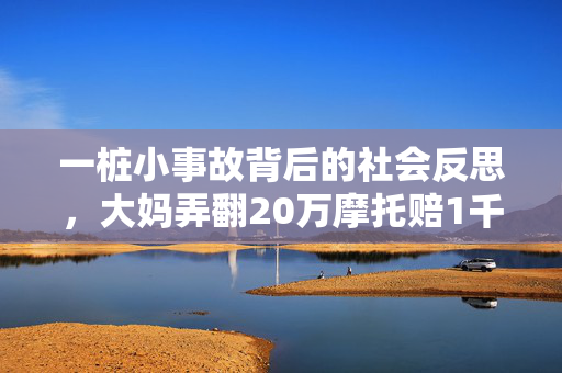 一桩小事故背后的社会反思，大妈弄翻20万摩托赔1千后拉黑车主