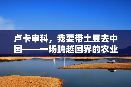 卢卡申科，我要带土豆去中国——一场跨越国界的农业合作与文化交流