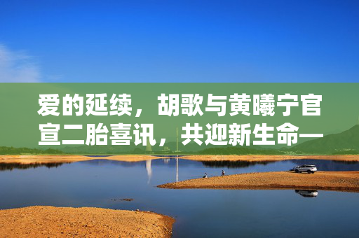 爱的延续，胡歌与黄曦宁官宣二胎喜讯，共迎新生命——一个关于爱与责任的温馨故事
