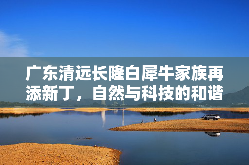 广东清远长隆白犀牛家族再添新丁，自然与科技的和谐共生