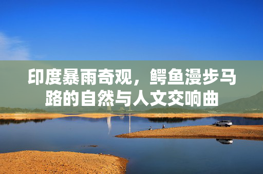 印度暴雨奇观，鳄鱼漫步马路的自然与人文交响曲