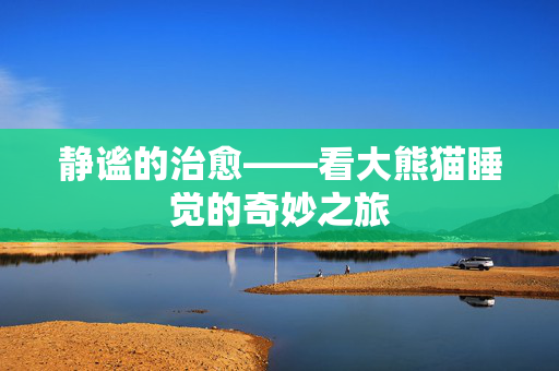 静谧的治愈——看大熊猫睡觉的奇妙之旅