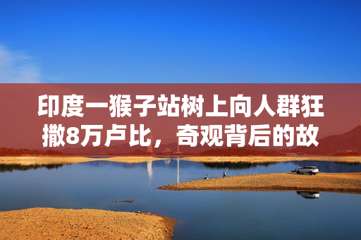 印度一猴子站树上向人群狂撒8万卢比，奇观背后的故事与思考