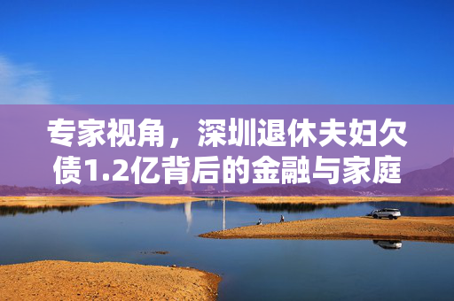 专家视角，深圳退休夫妇欠债1.2亿背后的金融与家庭决策分析