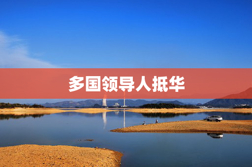 多国领导人抵华