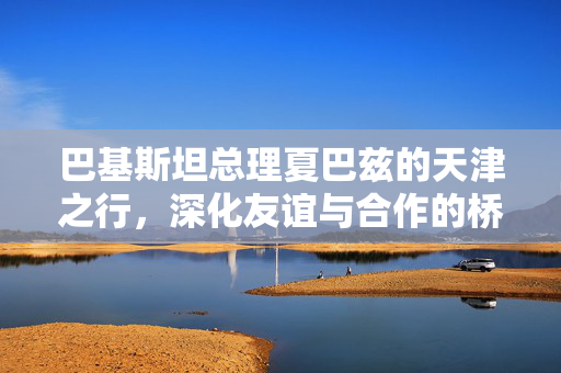 巴基斯坦总理夏巴兹的天津之行，深化友谊与合作的桥梁