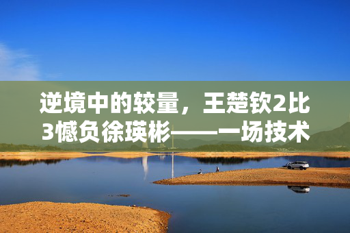 逆境中的较量，王楚钦2比3憾负徐瑛彬——一场技术与意志的激烈对决