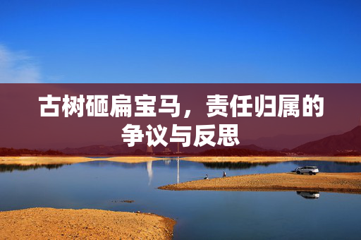 古树砸扁宝马，责任归属的争议与反思