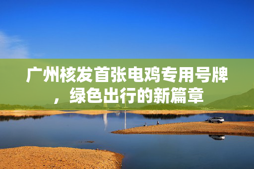 广州核发首张电鸡专用号牌，绿色出行的新篇章